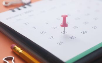 UP NEET Counselling Dates